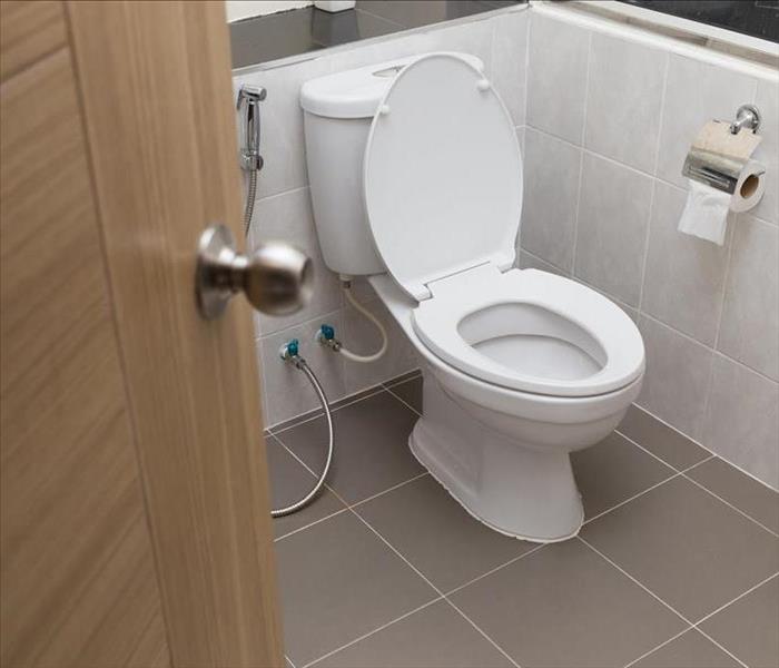 Toilet repaired and in perfect condition.